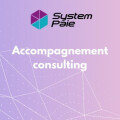 Accompagnement consulting